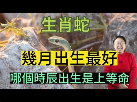 土蛇之命|土蛇是什么命？探寻土蛇人的命运与特点